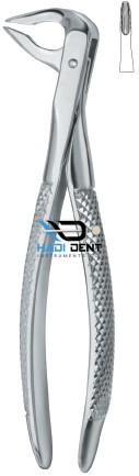 Tooth Ext Forceps