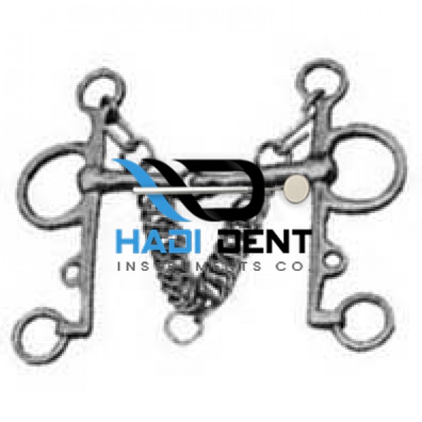 Equestrian Equipment